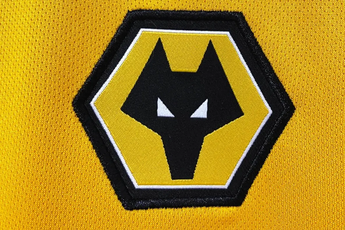  Wolves star emerges as late target for NUFC, with club preparing big-money bid – Report